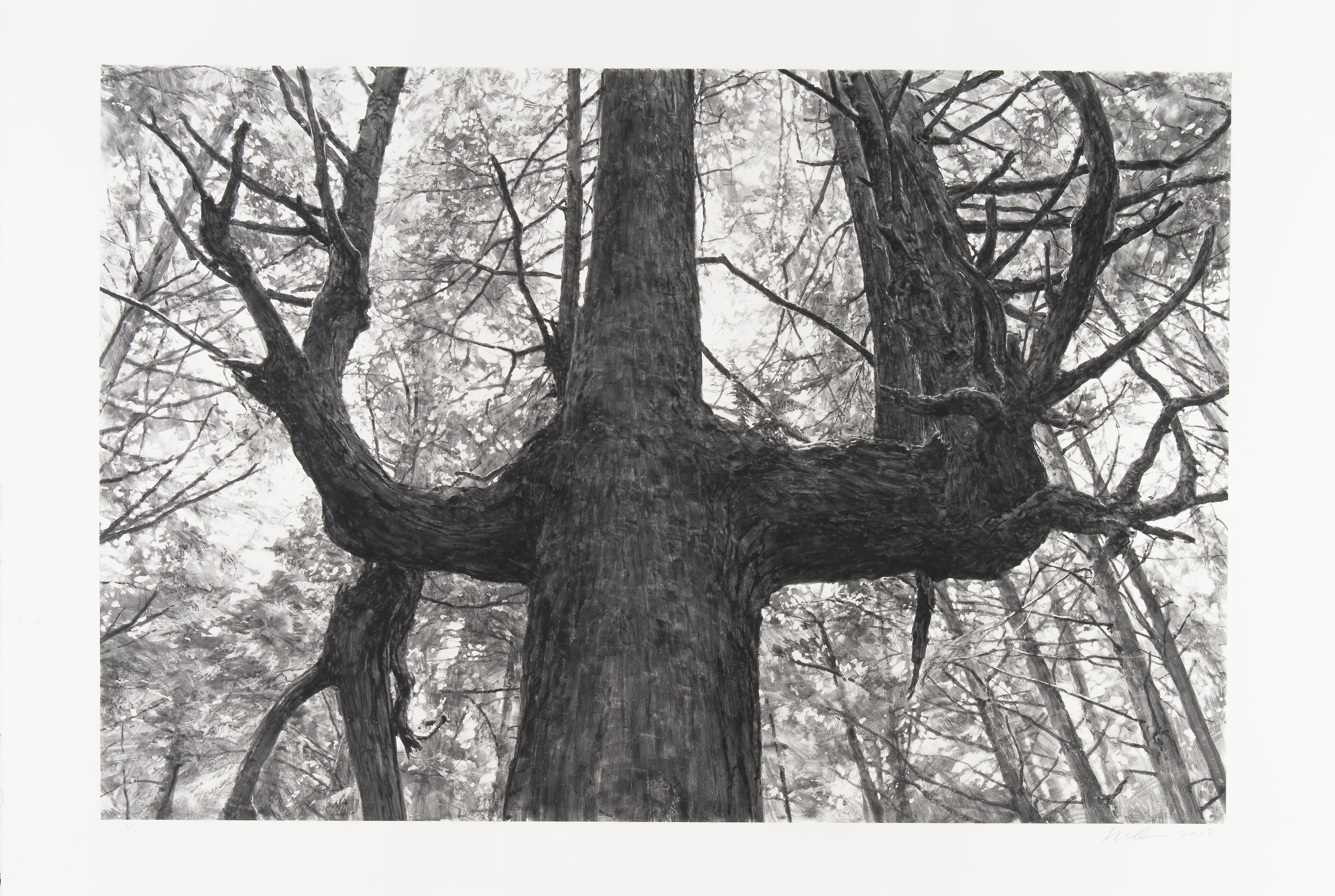 Michael Kareken: New Monotypes — Highpoint Center for Printmaking